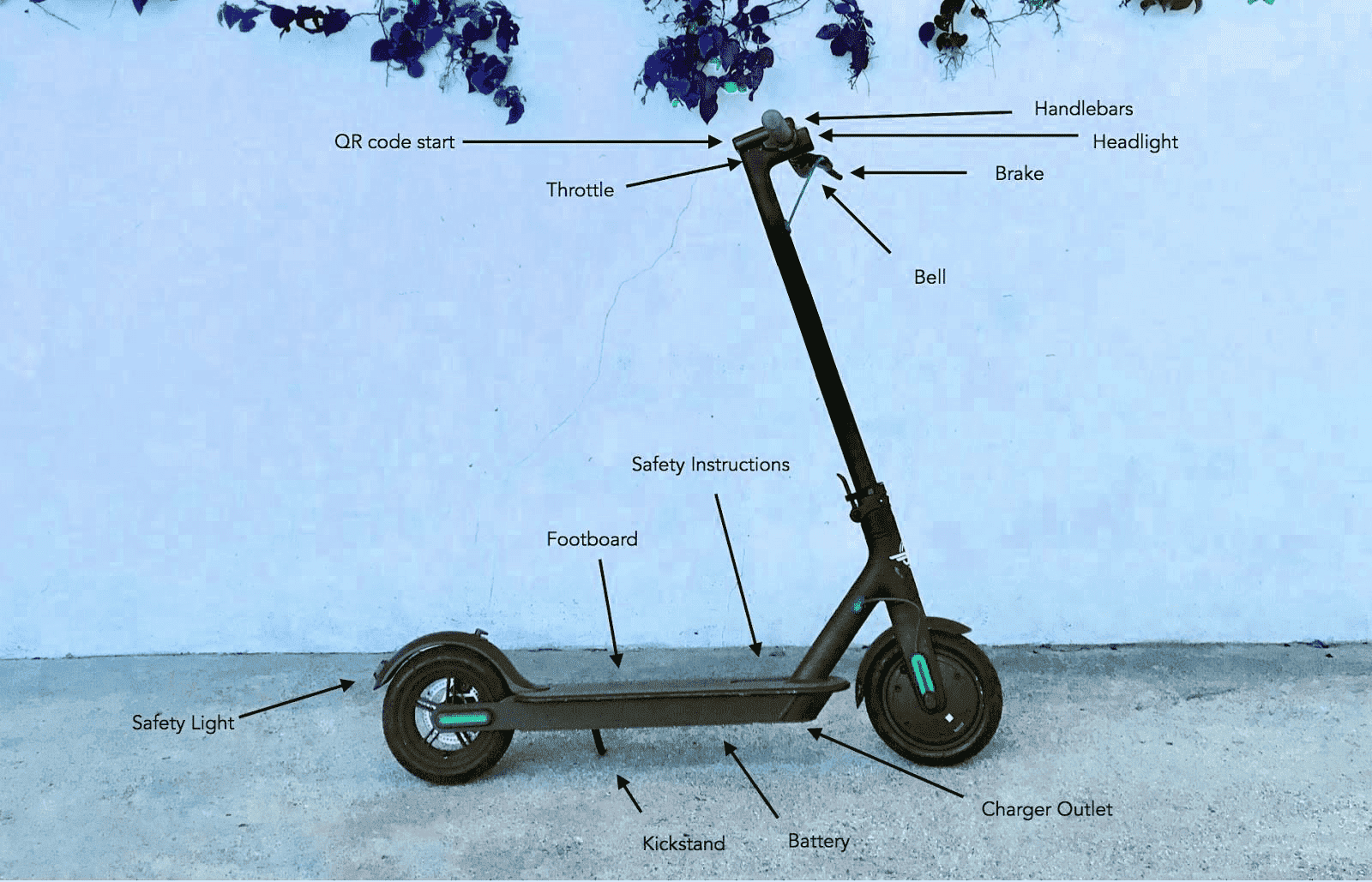 scootersolution