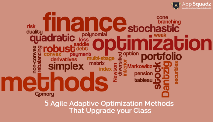 Agile Adaptive Optimization Methods