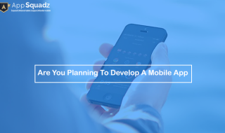 Are You Planning to Develop a Mobile App