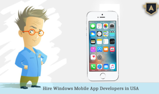 Windows Mobile App Developer