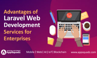 Laravel web development