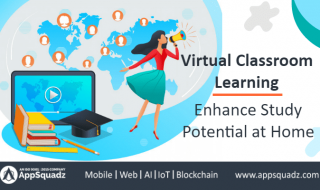 Virtual Classroom Learning