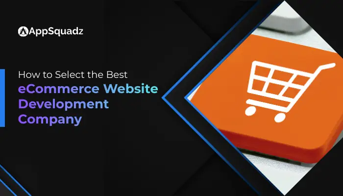 ecommerce-website-development