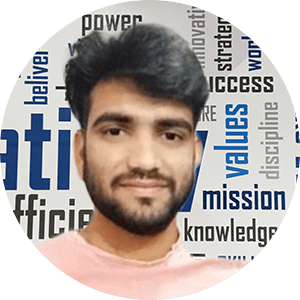 Project Manager